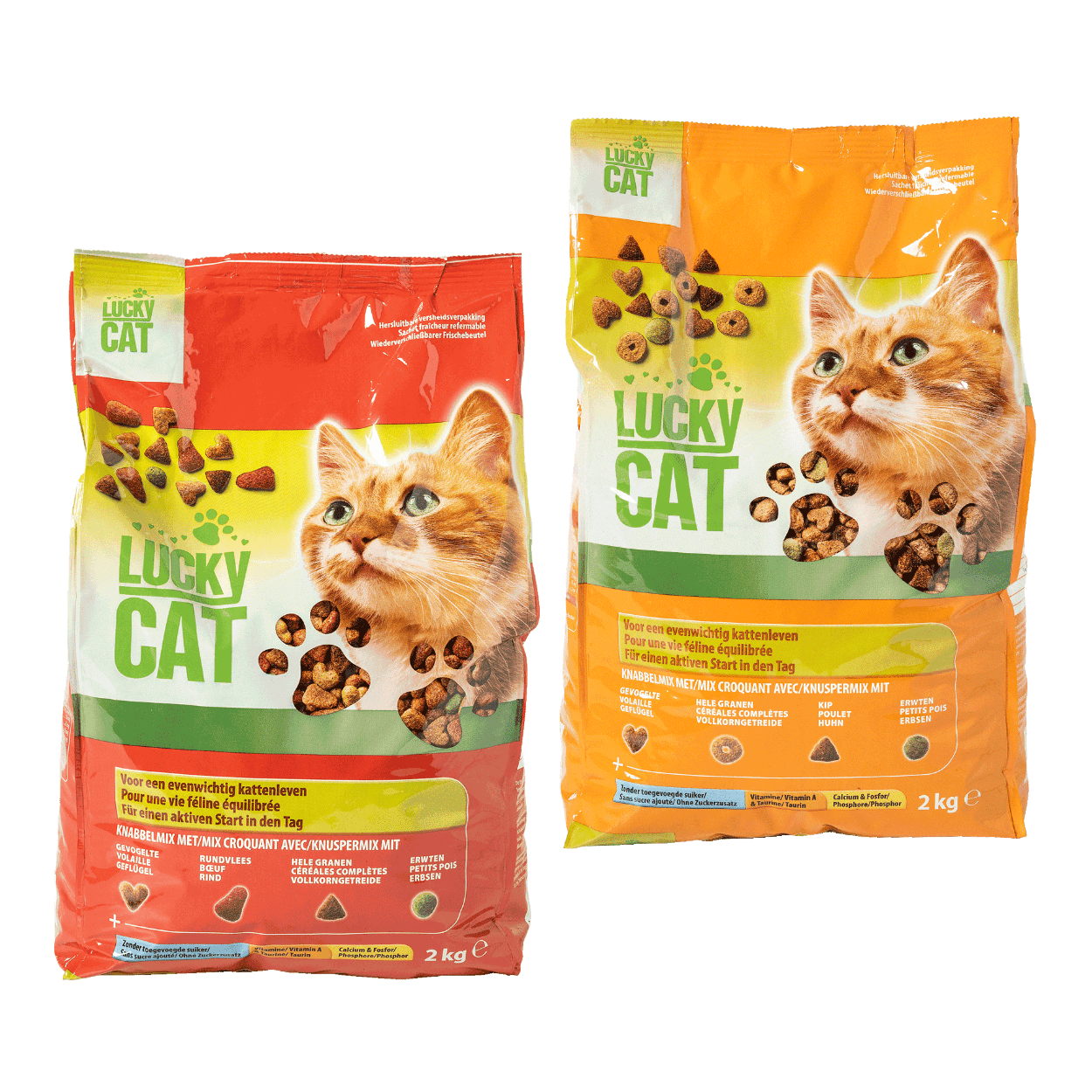 Aldi kitten shop