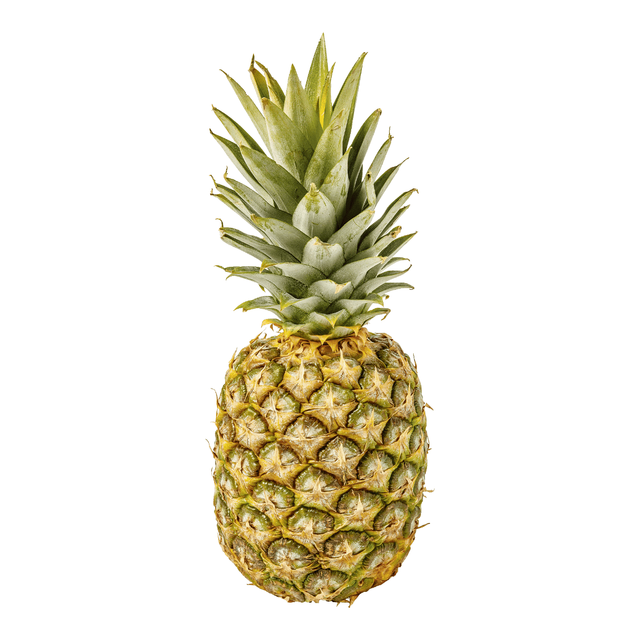 Weg Overlappen Democratie Ananas kopen bij ALDI België