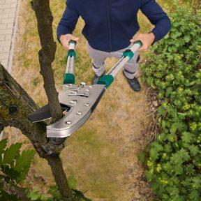AIRAJ Telescopische aambeeldscharen 68-88 cm, intrekbaar met roestbestendige gecoate 55C-messen/antislip handvat, kan dikke takken tot 5,5 cm snoeien, ideale snoeischaar voor tuinieren AIRAJ Telescopische aambeeldscharen 68-88 cm, intrekbaar met roestbestendige gecoate 55C-messen/antislip handvat, kan dikke takken tot 5,5 cm snoeien, ideale snoeischaar voor tuinieren