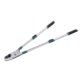 Telescopische takkenschaar