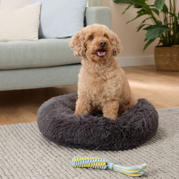 taktisches halsband hund Taktisches Hundehalsband Schwarz  Magnetgriff