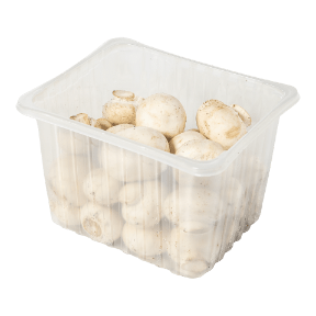 Fijne champignons
