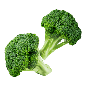 Broccoli