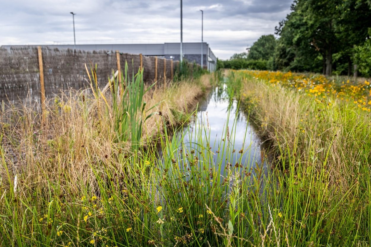 Waarom is biodiversiteit belangrijk Universiteit Utrecht