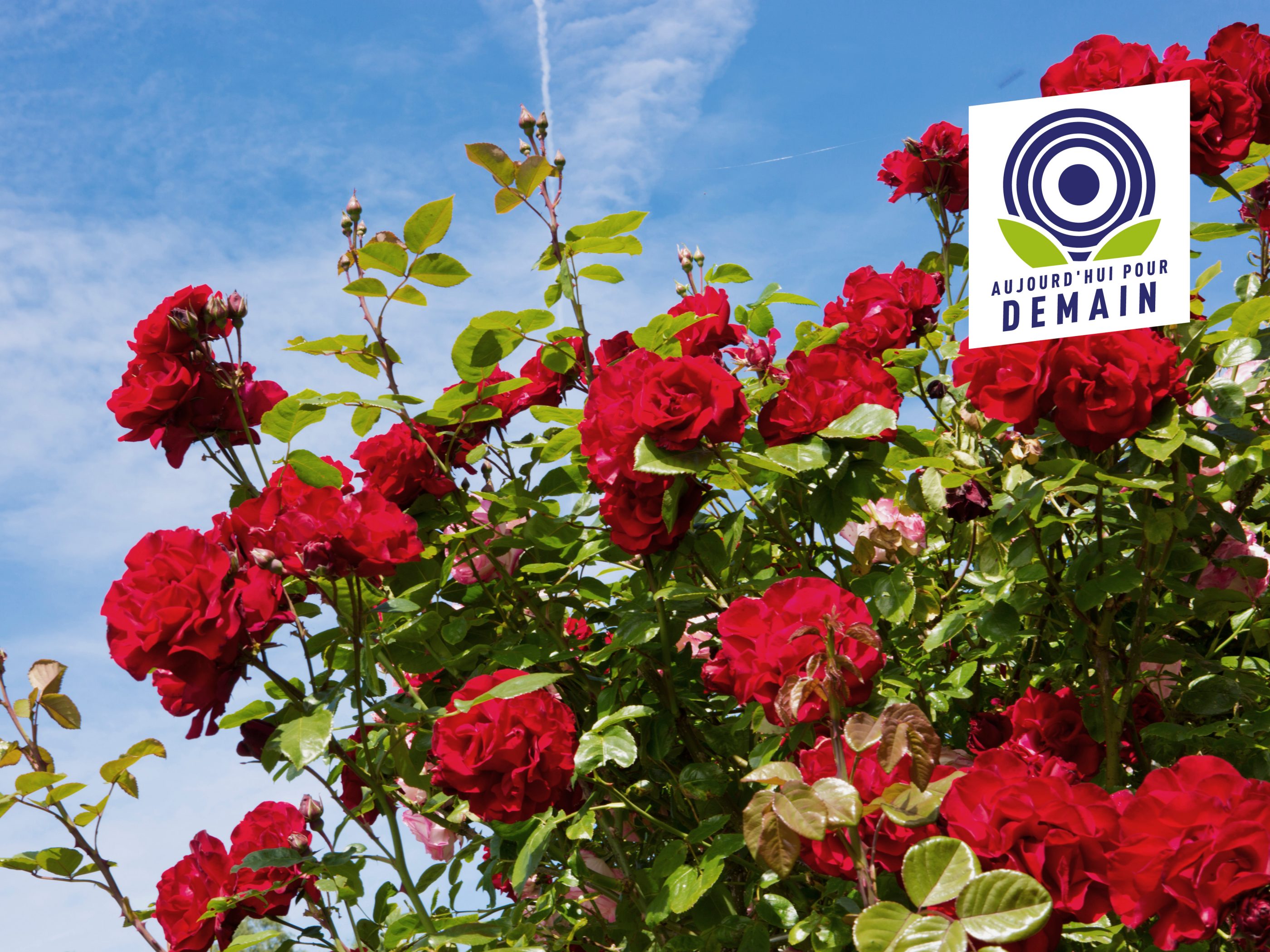 Nos produits | ALDI Belgique