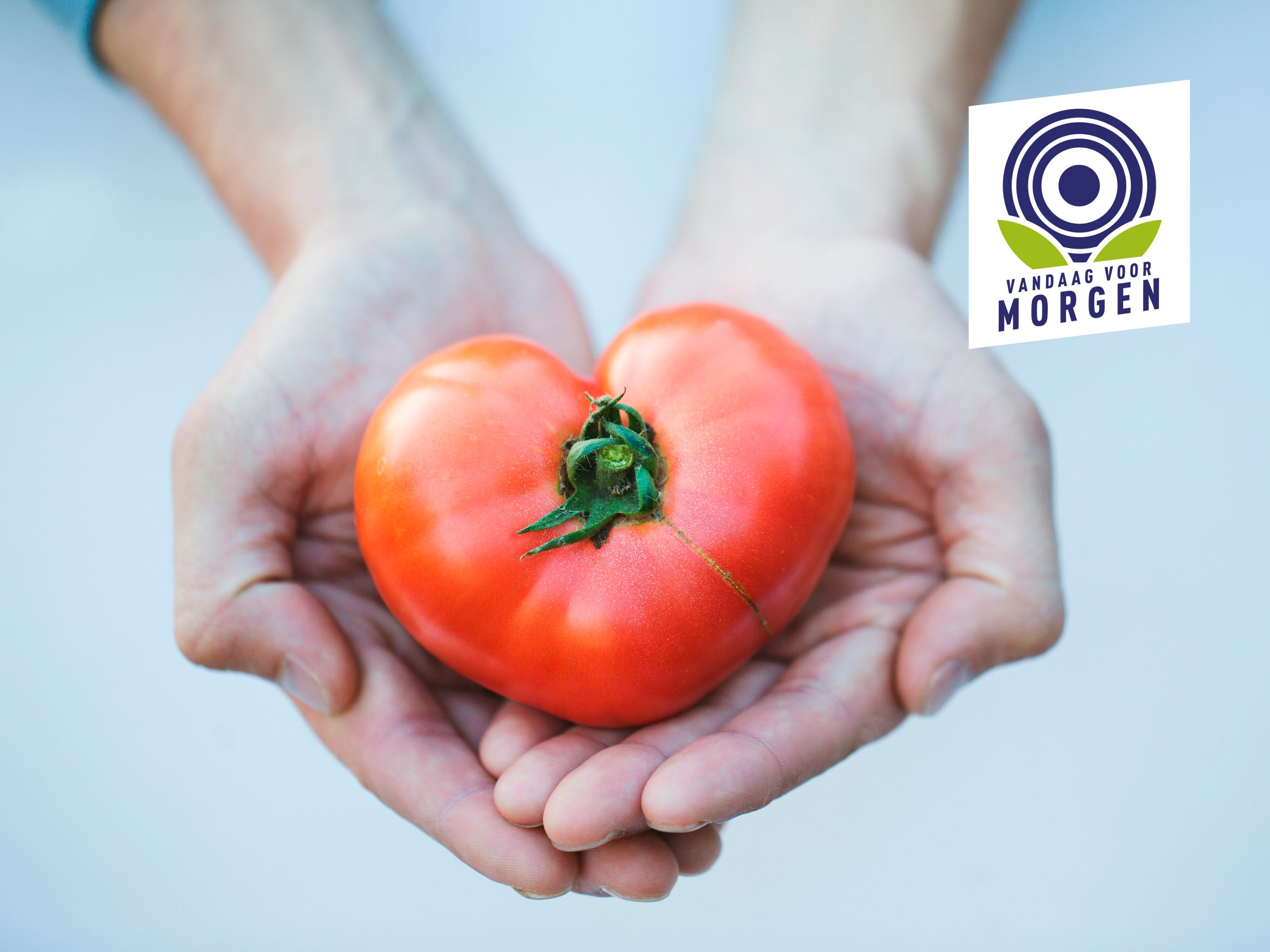 Vandaag voor verantwoord ondernemen ALDI België