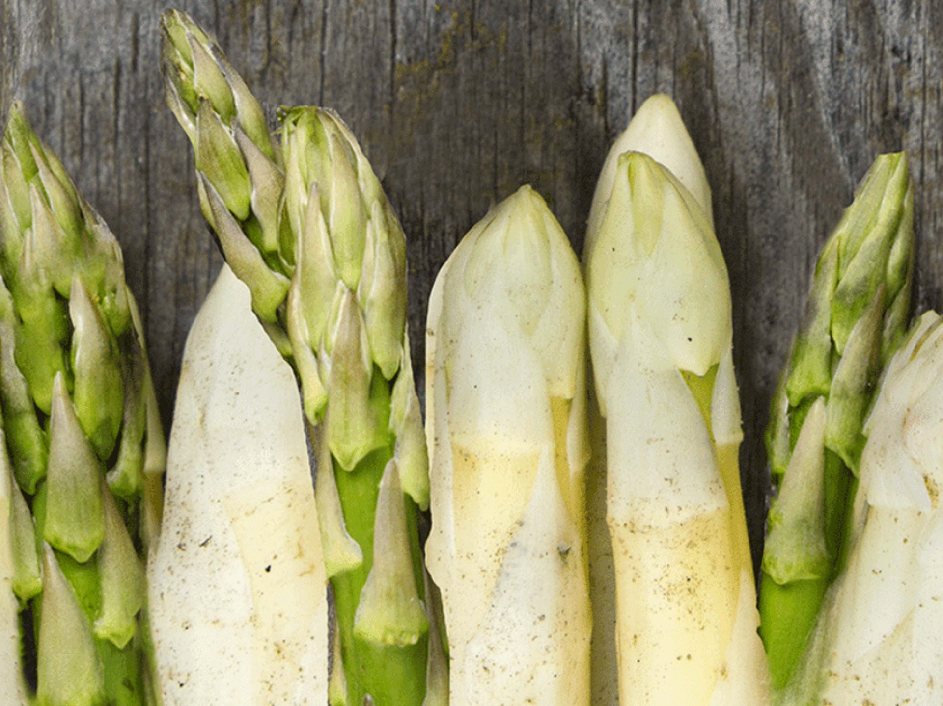 Asperges