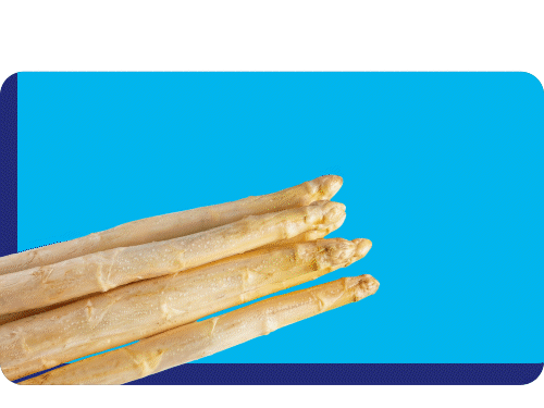 Spargel