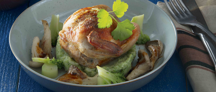 Gevulde kwartels met broccolipuree en oesterzwammen