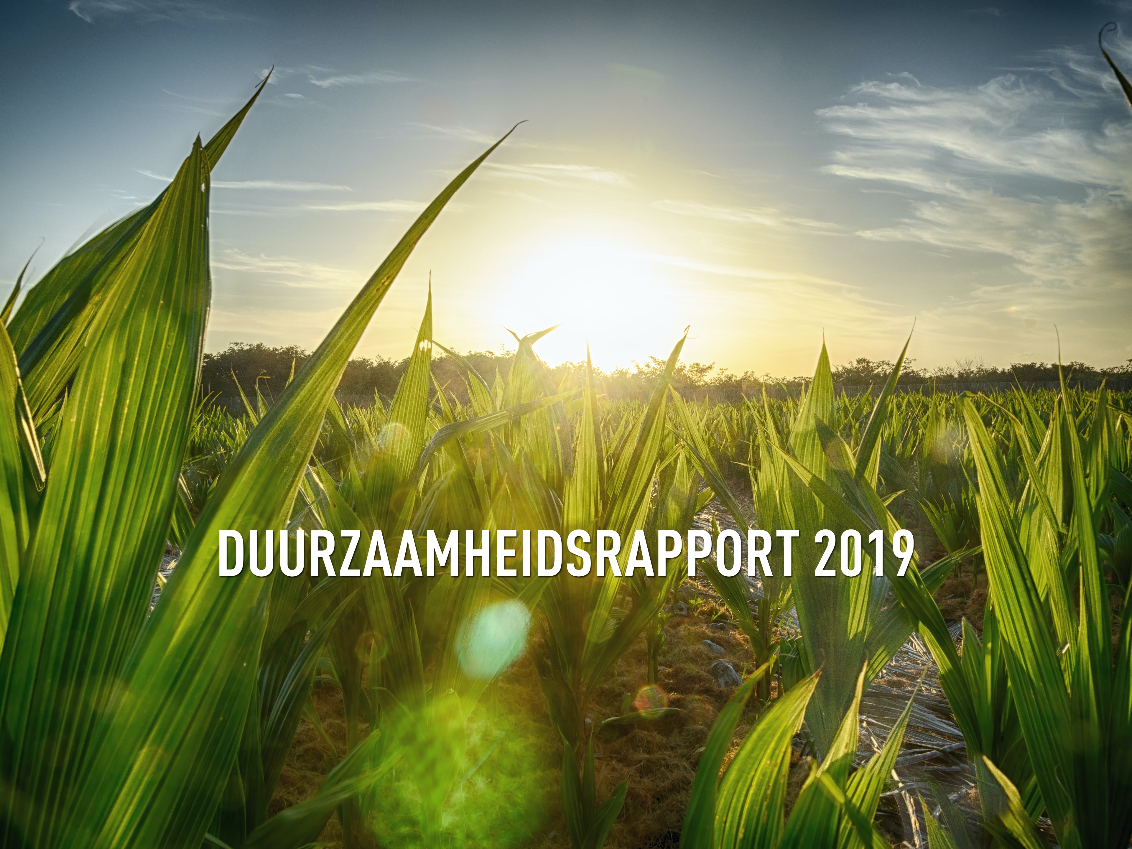 Duurzaamheidsrapport 2019