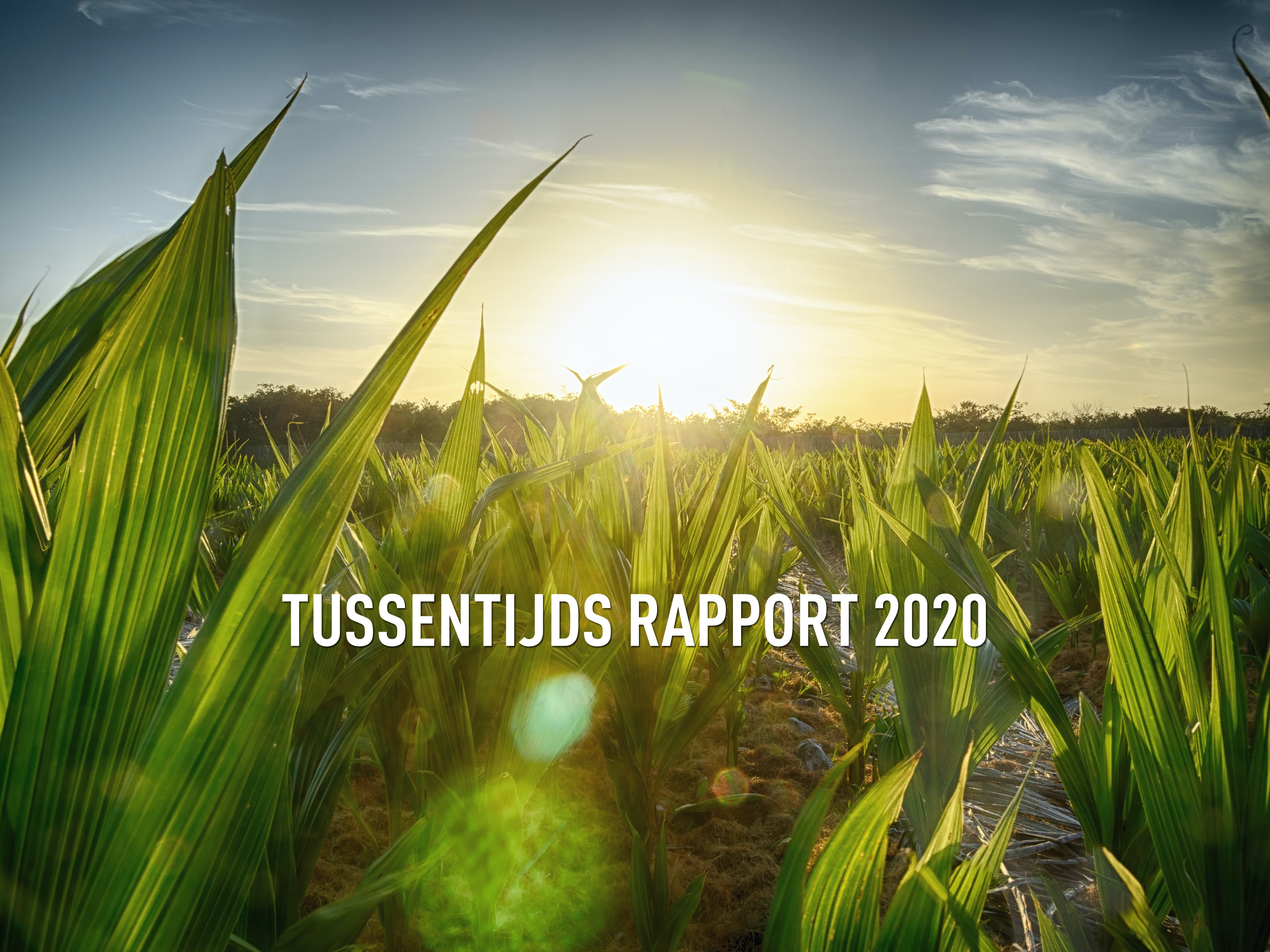Tussentijds rapport 2020