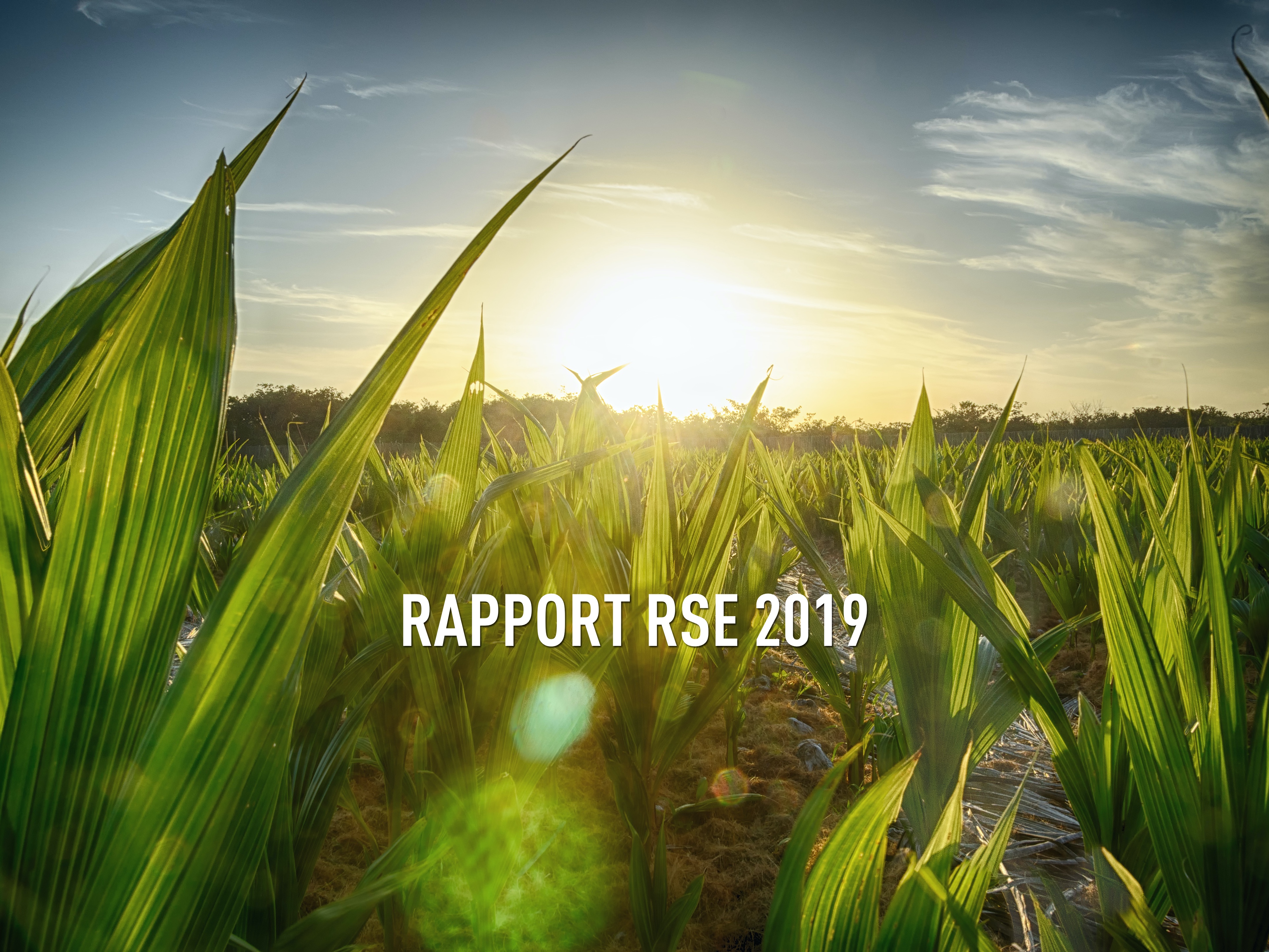 Rapport RSE 2019