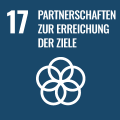 SDG 17