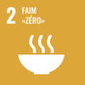 SDG 12