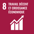 SDG 8