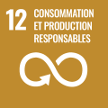 SDG 12