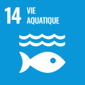 SDG 14