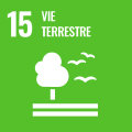 SDG 08