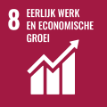 SDG 08