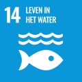 SDG 08