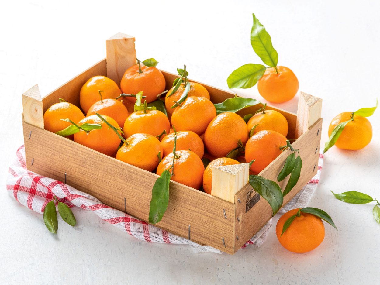 Aanbiedingen van deze week ALDI Belgie