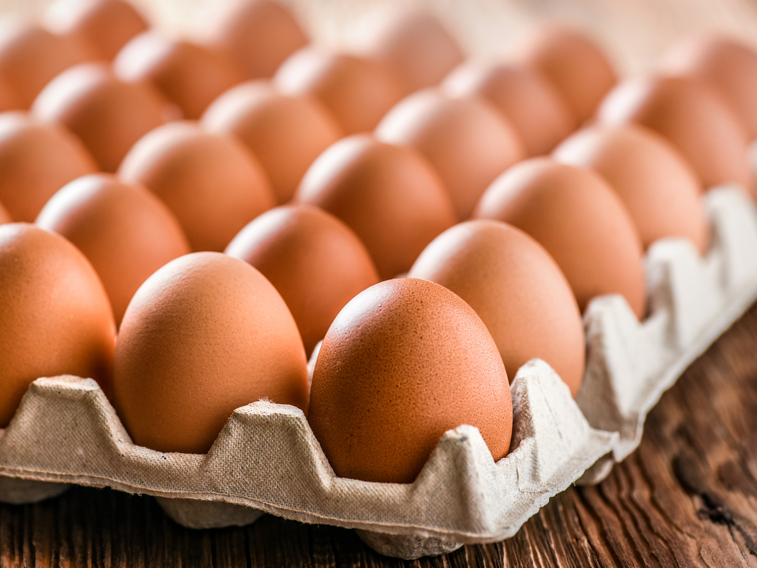 Verse eieren kopen (scharreleieren, bio, België